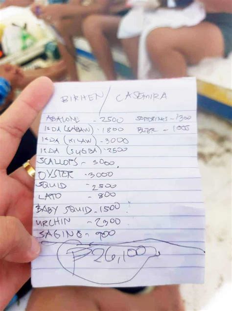 Virgin Island in Panglao, Bohol shut down after overpriced food .